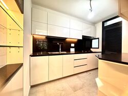 Belgravia Ace (D28), Terrace #610608351